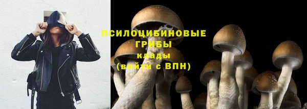 кокаин Ельня