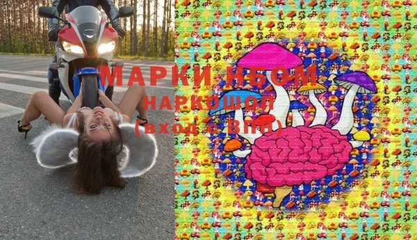 молекула духа Елизово