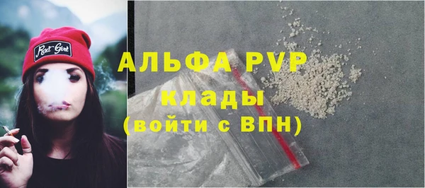 молекула духа Елизово