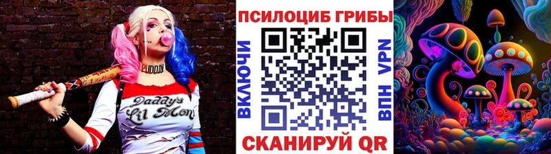 Галлюциногенные грибы Magic Shrooms  сколько стоит  Назрань 